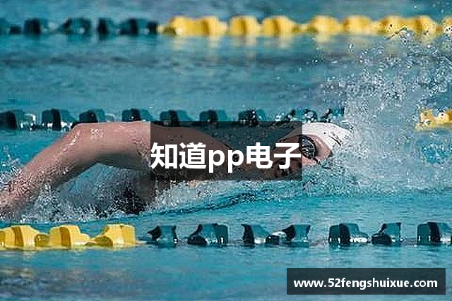 知道pp电子
